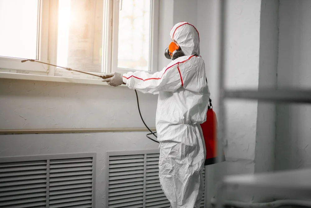 Professional mold remediation services in Summerland Key, FL